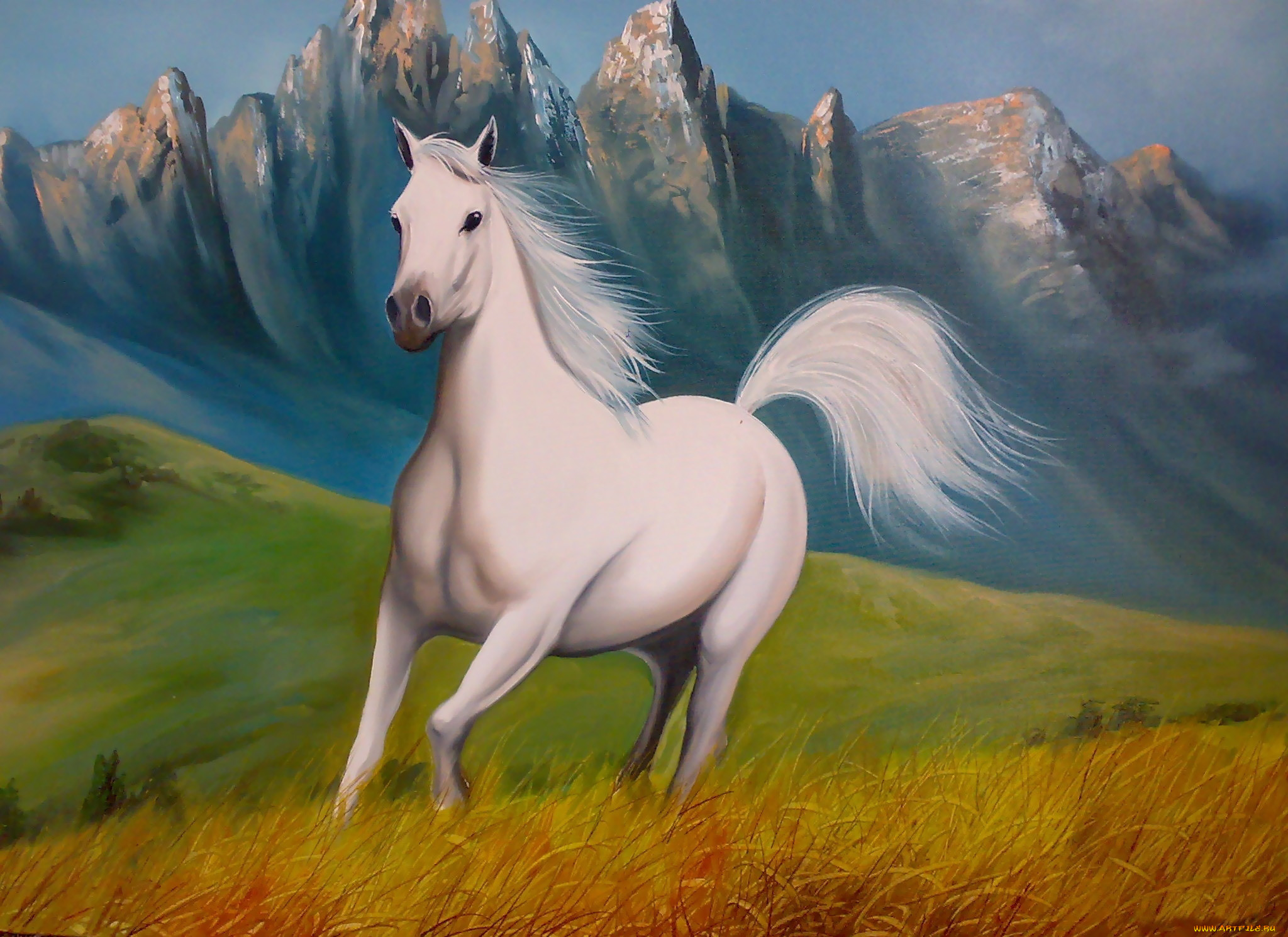 Белые кони кадышевой. Лошади. Очень красивые лошади. Белый конь. Картина лошади.